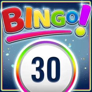 Play Bingo 30 Ball on Slotified Crypto Casino