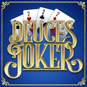 Play Deuces And Joker on Slotified Crypto Casino