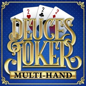 Play Deuces And Joker Multi Hand on Slotified Crypto Casino