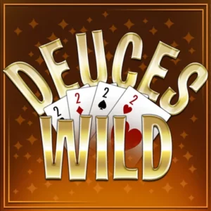 Play Deuces Wild on Slotified Crypto Casino