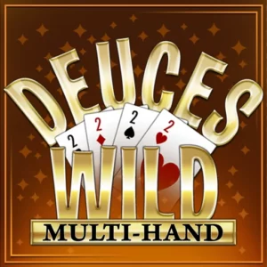 Play Deuces Wild Multi Hand on Slotified Crypto Casino