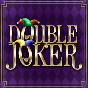 Play Double Joker on Slotified Crypto Casino