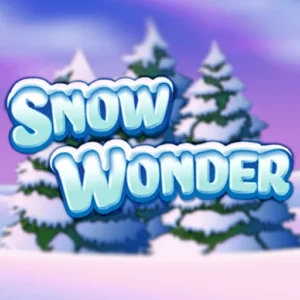 Play Snow Wonder on Slotified Crypto Casino